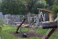 IMG_7298