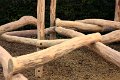 IMG_7357