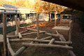IMG_7358