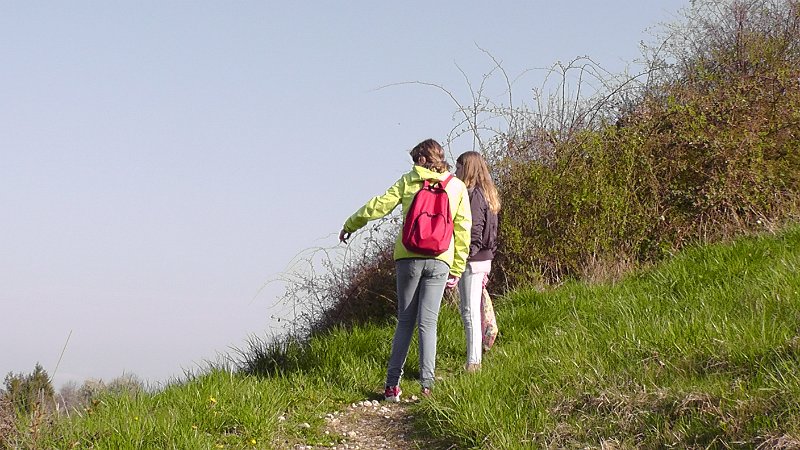 S1790013.JPG