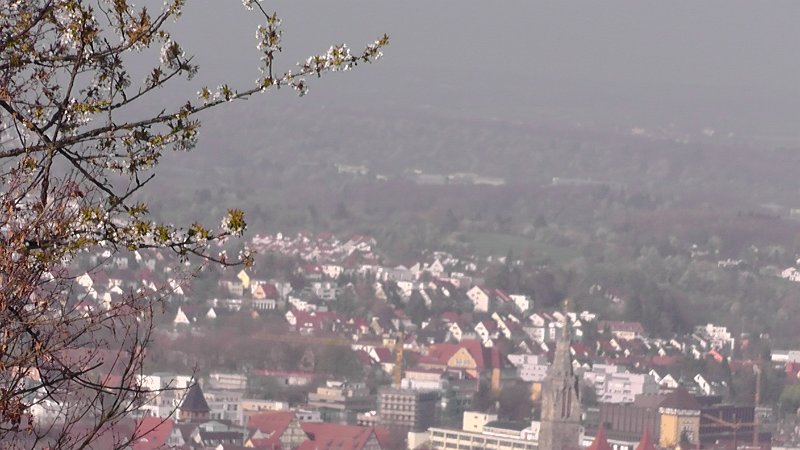 S1790015.JPG