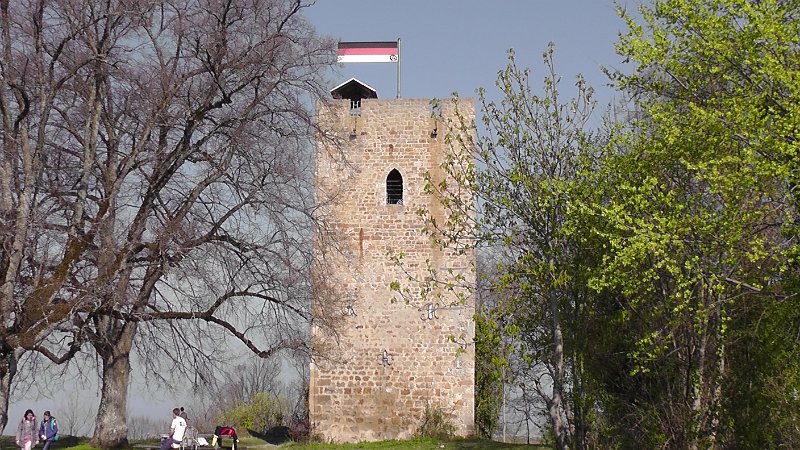 S1790075.JPG