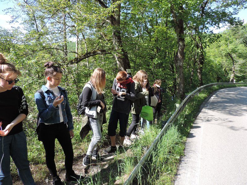 DSCN9983.JPG