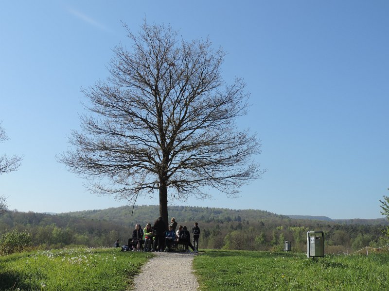 DSCN9557.JPG