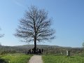 DSCN9557