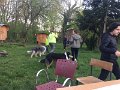 IMG_8031