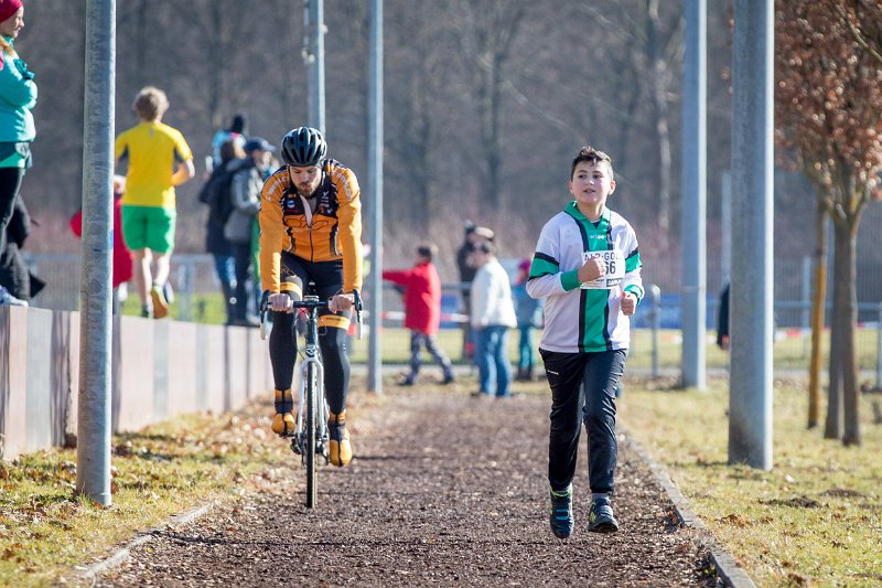 9-BeLa-Sportfoto-6632.jpg - Alb-Gold Winterlauf-Cup 2017, Lauf 3, IGL Reutlingen am 11. 02. 2017
