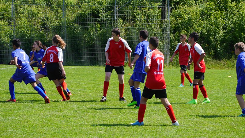P1150195.JPG