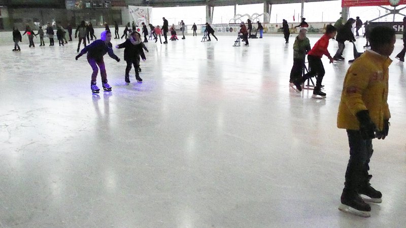 P1170288 ( 11).JPG